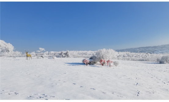 沈陽墓園實景圖