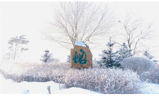 沈陽(yáng)墓園實(shí)景圖