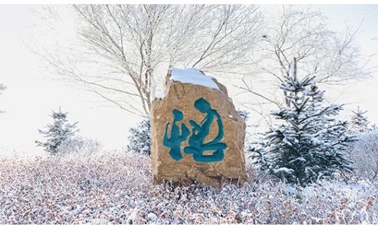 燒香的恰當(dāng)方式是什么