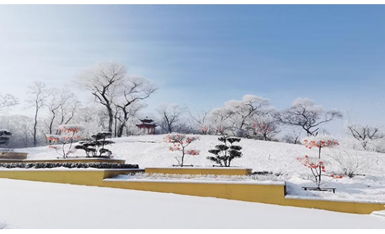 墓園中寄存的骨灰如何安葬