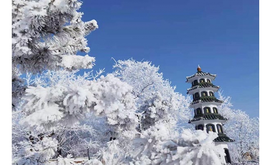 沈陽(yáng)墓園中的管理費(fèi)