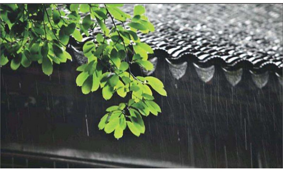 在沈陽墓園買完墓位安葬證丟了