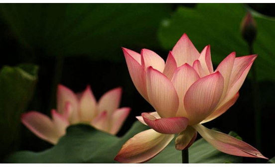 選擇沈陽墓園朝向（三）