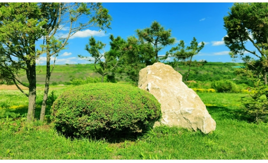 沈陽墓地實景圖