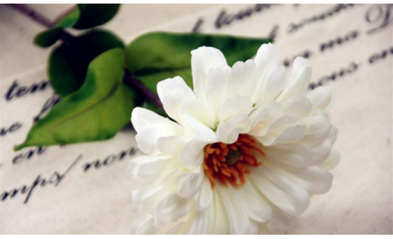 傳統(tǒng)文化之五禮 