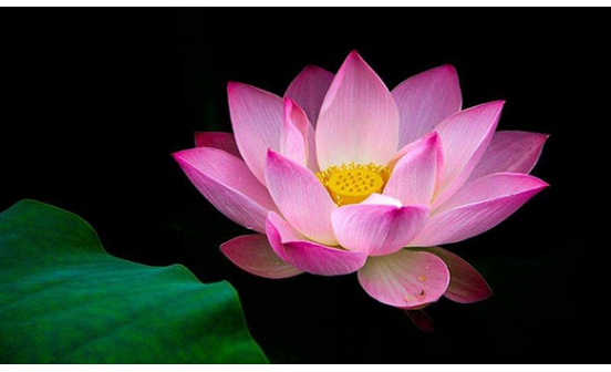 幾點(diǎn)是酉時(shí)