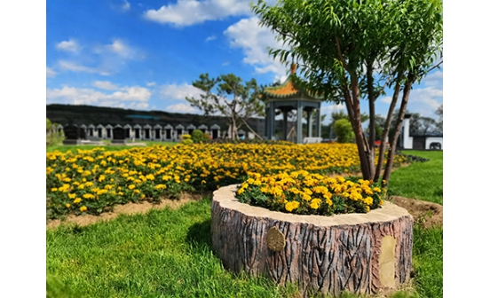 沈陽墓地中哪種骨灰盒好？