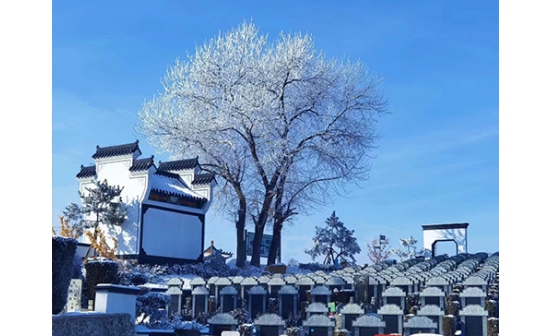 為什么在沈陽墓地安葬必須火化？