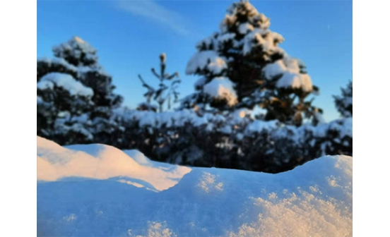 十一月，再見(jiàn)。十二月，你好！