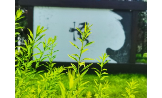  最近聽見有家屬說要提前買墓位，·但是有家人勸說，說提前購買墓位不好，還有一些人說，人沒離世之前是不能買墓地的。隨著沈陽墓園價格每年遞增，想提前購買墓地的家屬不知該如何分辨，沈陽墓園到底能不能提前購買墓地，需要什么手續(xù)？