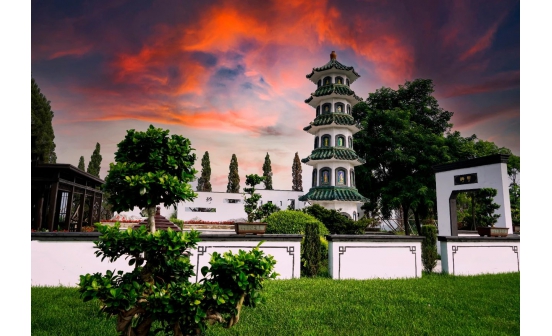 征文展播丨難忘的一脈親情