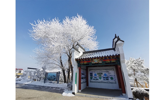 征文展播丨致天堂的岳父