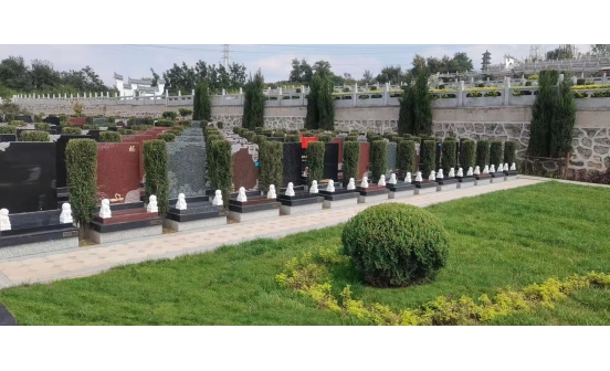 墓位旁樹(shù)木怎么選擇？