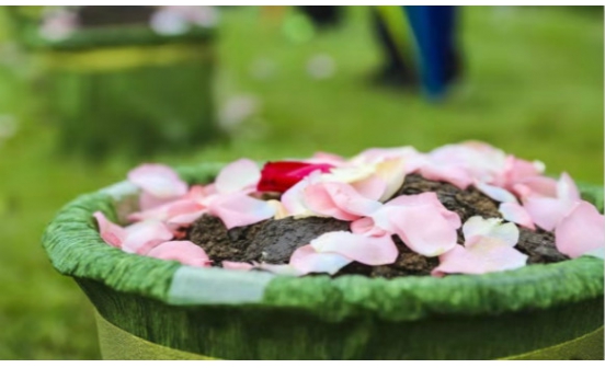 綠色殯葬的意義