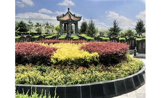 探索生態(tài)葬，開啟綠色生命之旅