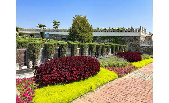 前100名丨福山主題語(yǔ)征集評(píng)審初選結(jié)果熱辣出爐