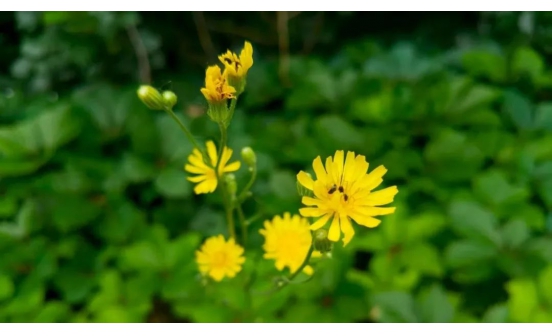 30強(qiáng)產(chǎn)生，距離5000元大獎(jiǎng)又近一步！